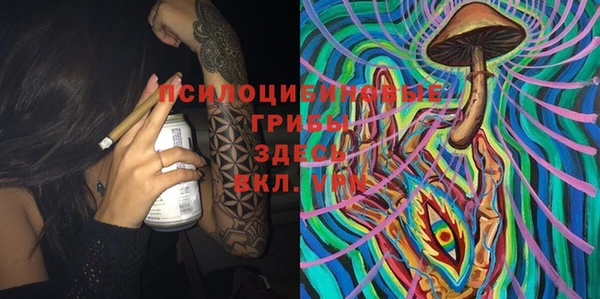 прущая мука Алзамай
