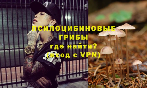 прущая мука Алзамай