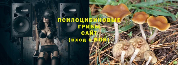 прущая мука Алзамай