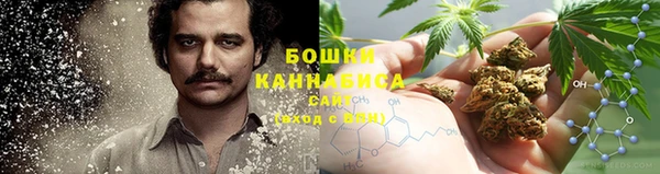 прущая мука Алзамай